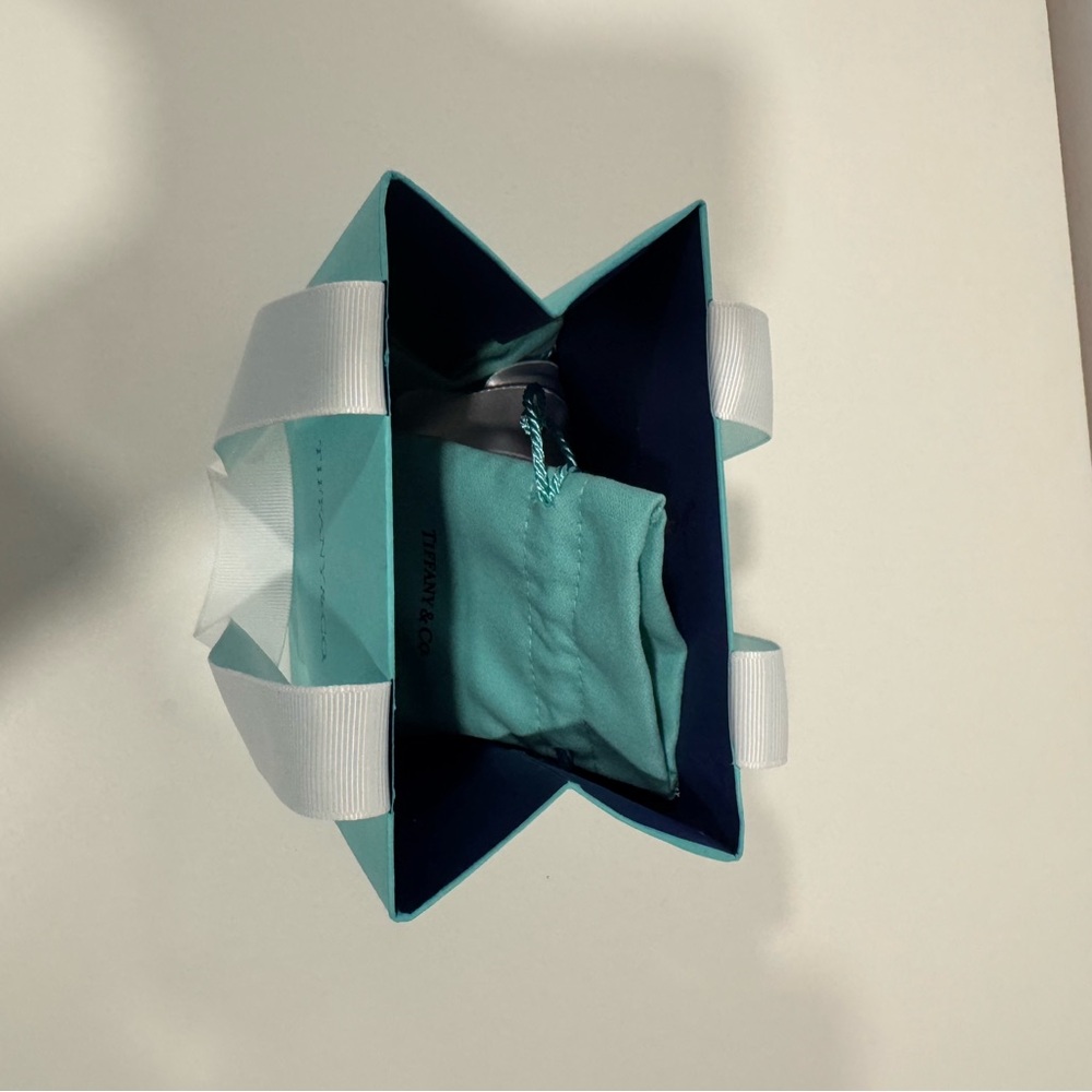 Tiffany and Co Elegant Blue Gift Bag